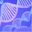 Genetic Concerns